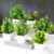 6-Pack Modern Artificial Mini Potted Plants, Plastic Greenery in White Pots for Indoor/Outdoor Decor, Home Office Hotel Desktop Accent, Contemporary Faux Plant Set for Window Cupboard Decoration
