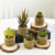 5pcs Set of Artificial Succulents & Aloe – Faux Potted Plants for Indoor/Outdoor Decor, Perfect for Home, Kitchen, Desk, and Wedding, for Spring